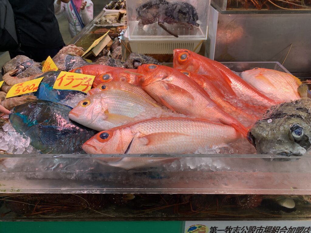 魚