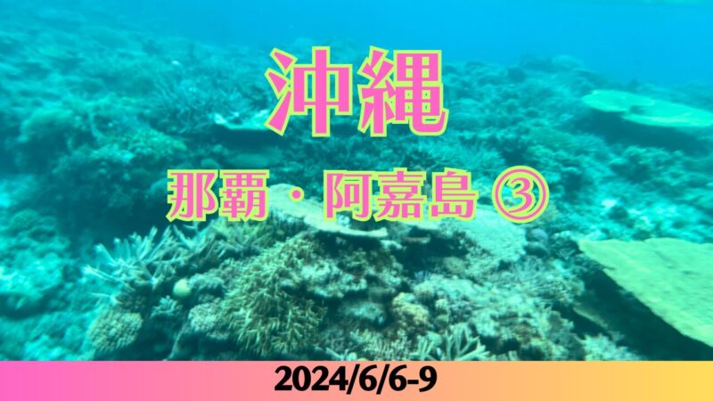 沖縄3日目阿嘉島