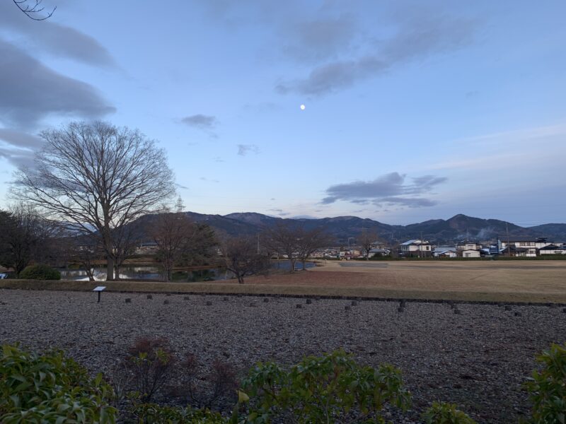 毛越寺庭園から見る観自在王院跡