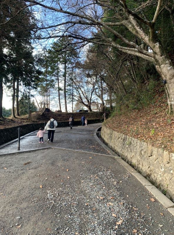 中尊寺の山道