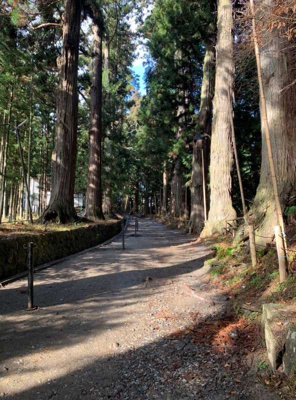 中尊寺内の山道