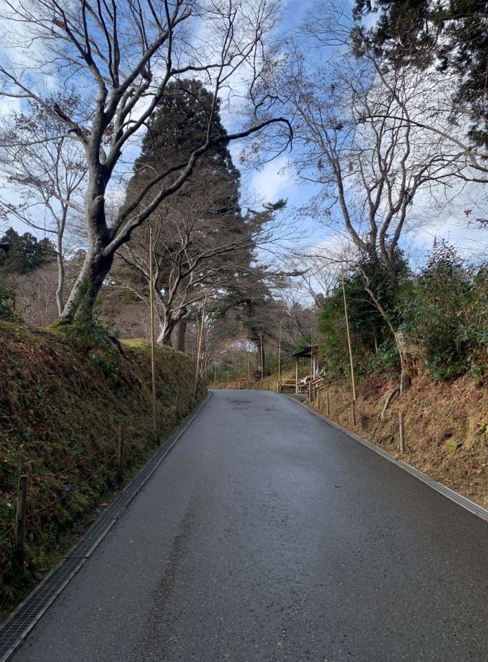 金色堂への山道