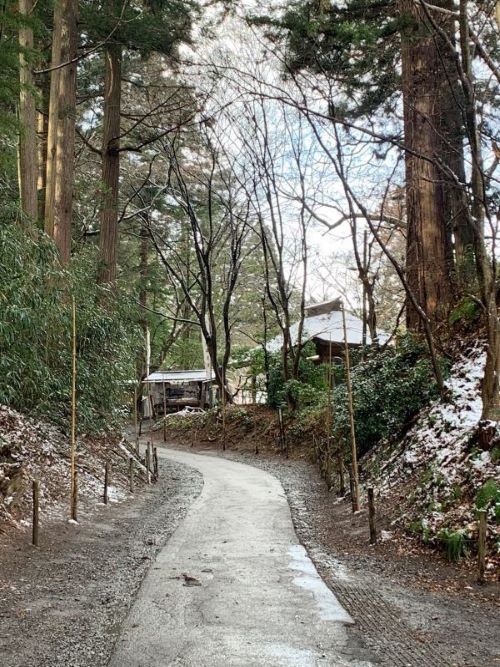 中尊寺の雪化粧の参道